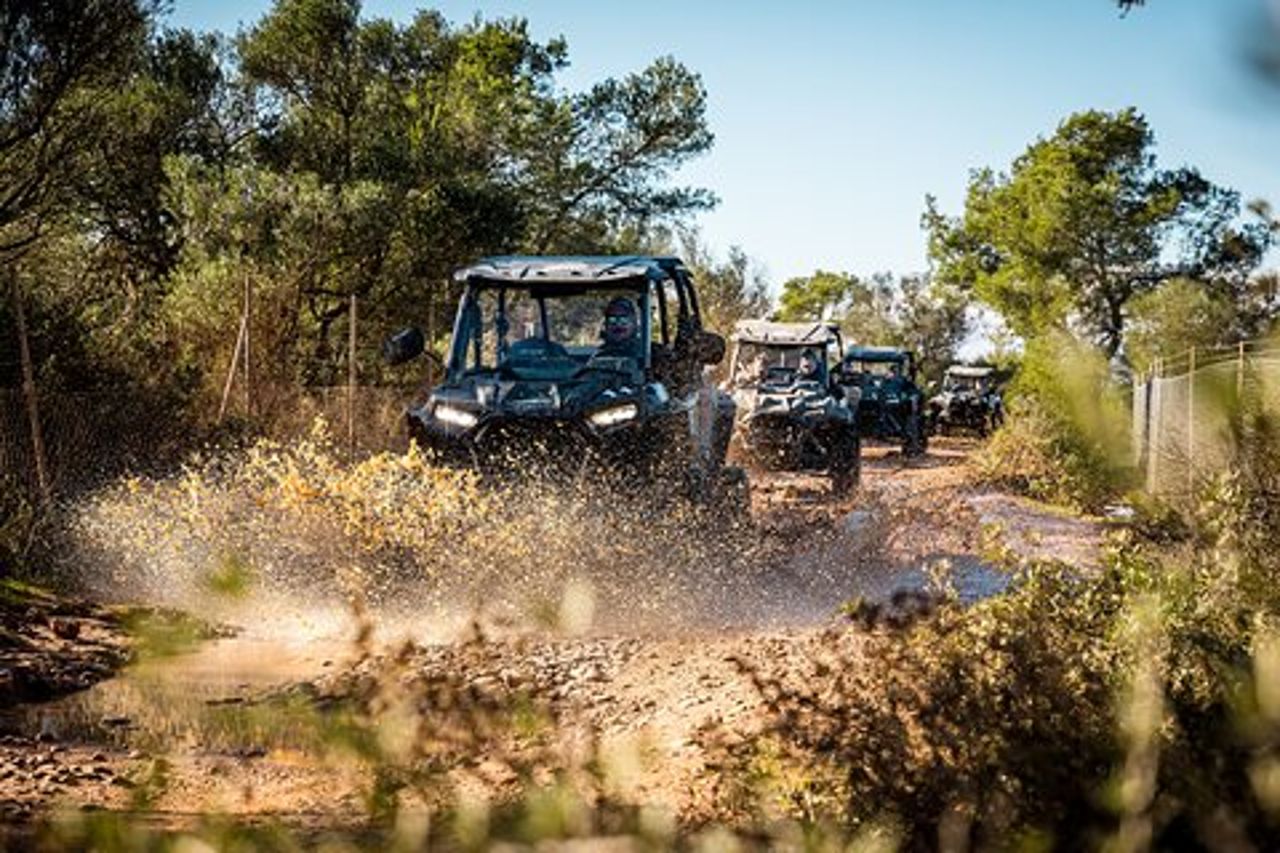 Tour fuoristrada in buggy a 2 e 4 posti a Maiorca