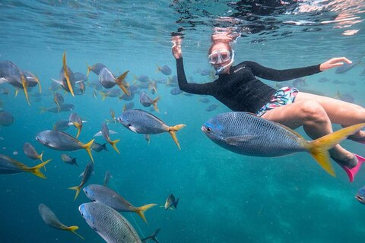 Snorkeling privato di 2 ore alle Maldive