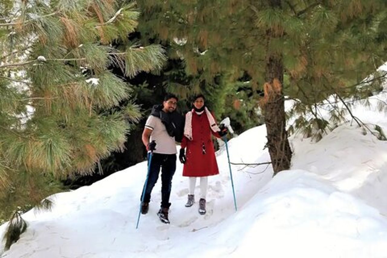 Tour di trekking di un'intera giornata al prato di Mohanmarg
