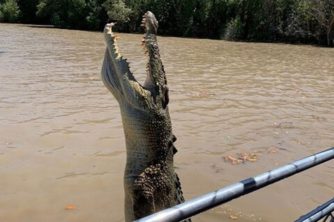 Il Croc Bus per la famosa crociera sui coccodrilli che saltano