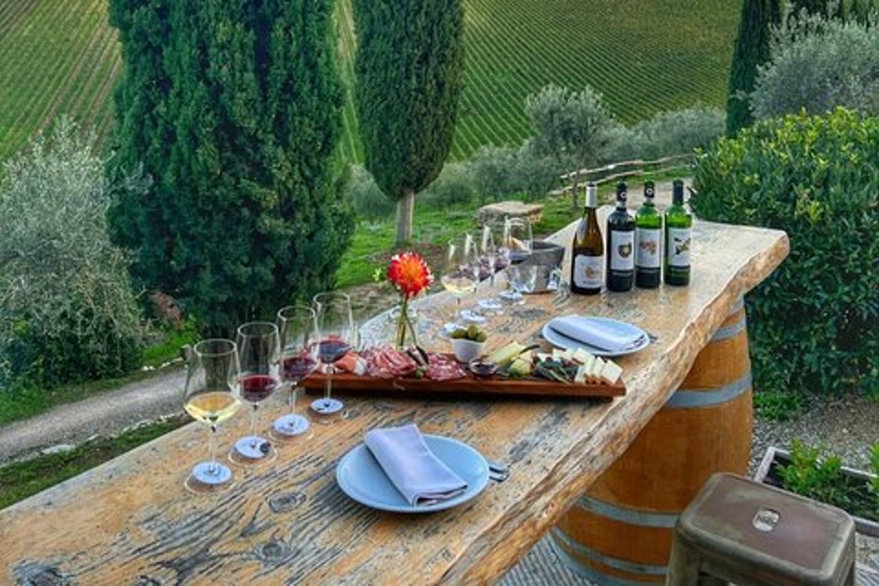 Semi Privato Deep Wine Chianti e San Gimignano da Firenze