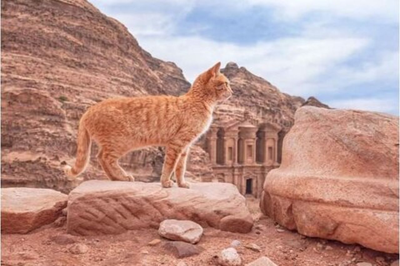 Tour privato di prova di Indiana Jones Petra Back Road di mezza giornata