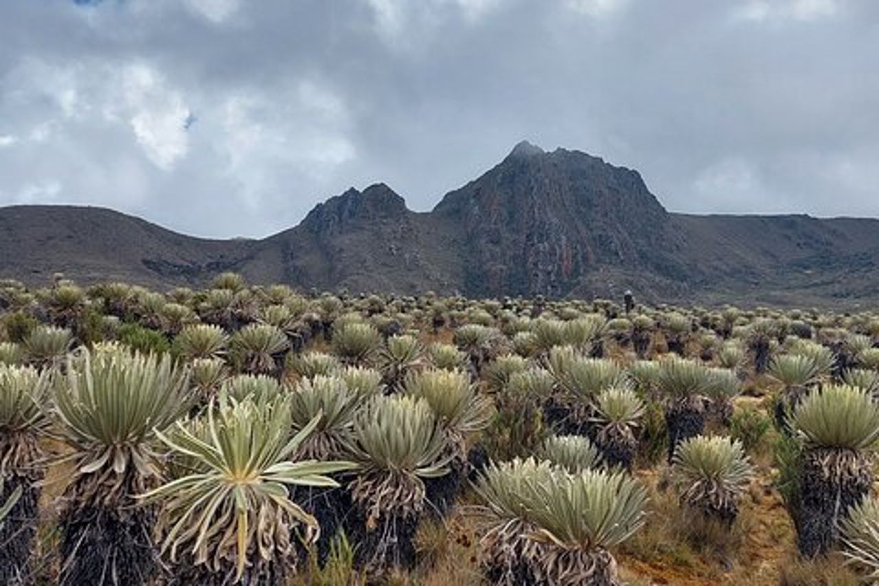 Escursione al paramo più grande della terra: Sumapaz