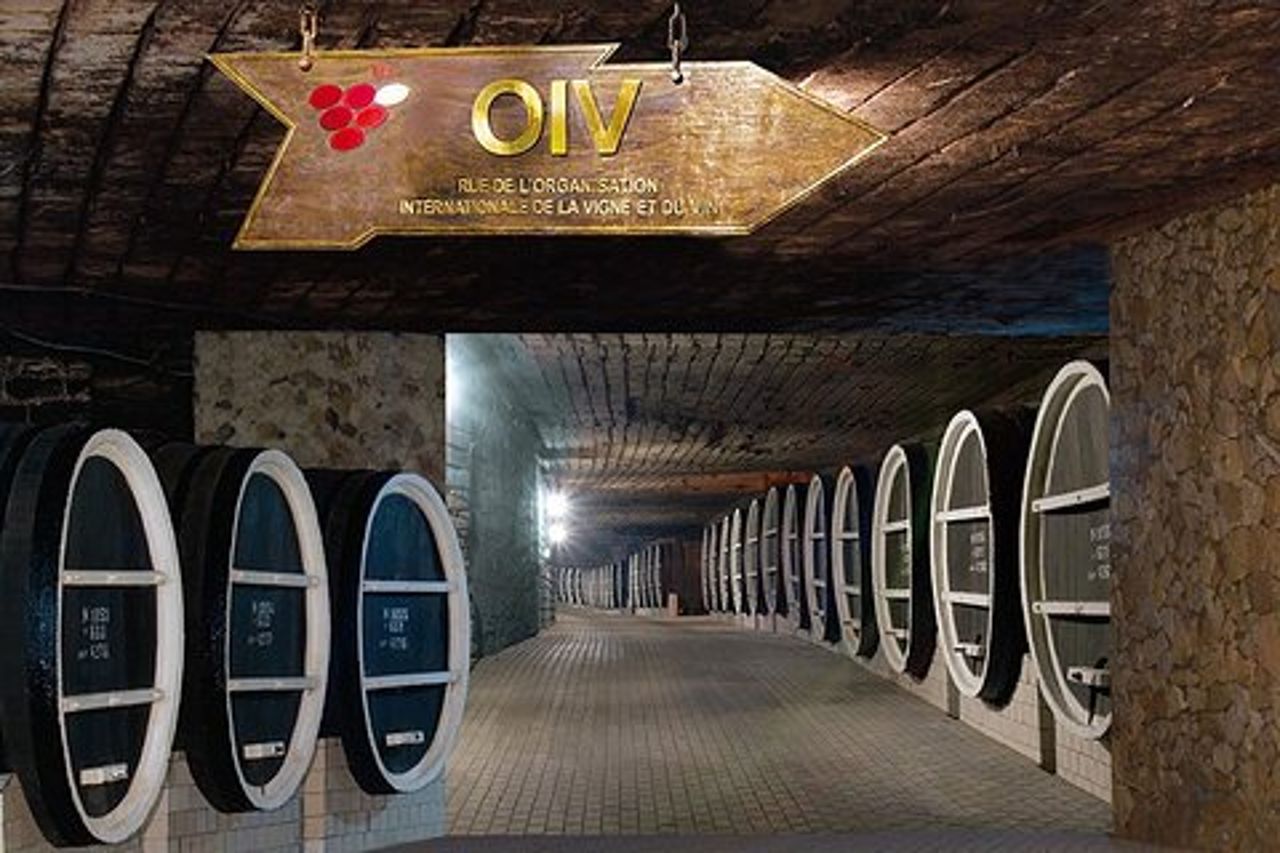 Visita la più grande azienda vinicola del mondo e Manuc Bei Mansion
