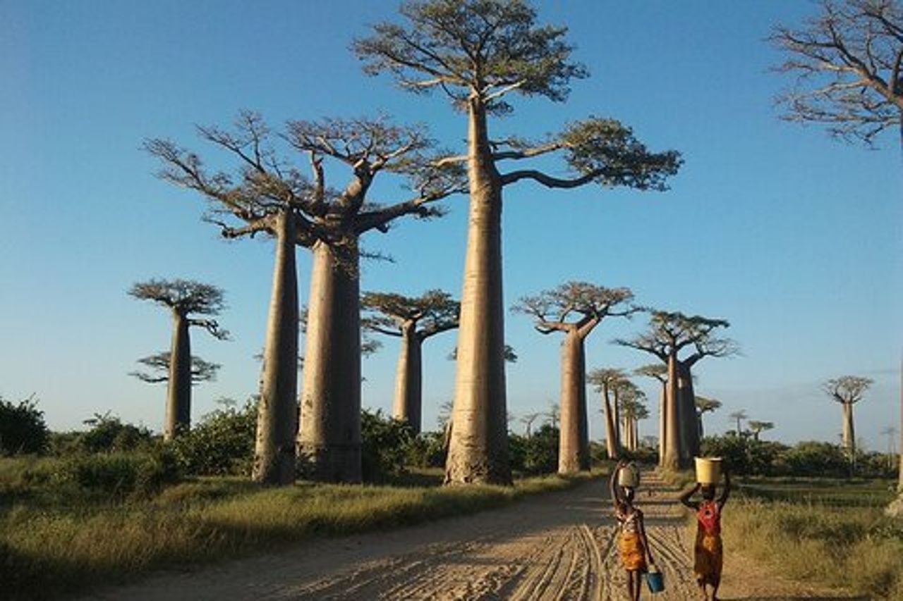 Tour d'avventura nel Madagascar occidentale | Natura e scoperta