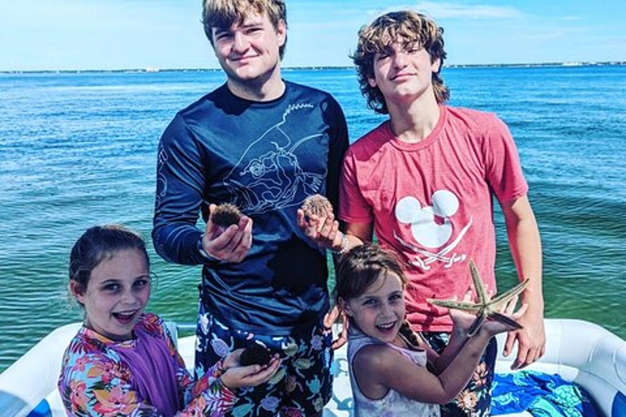 Tour guidato privato di 3 ore di delfini da parte di un biologo marino