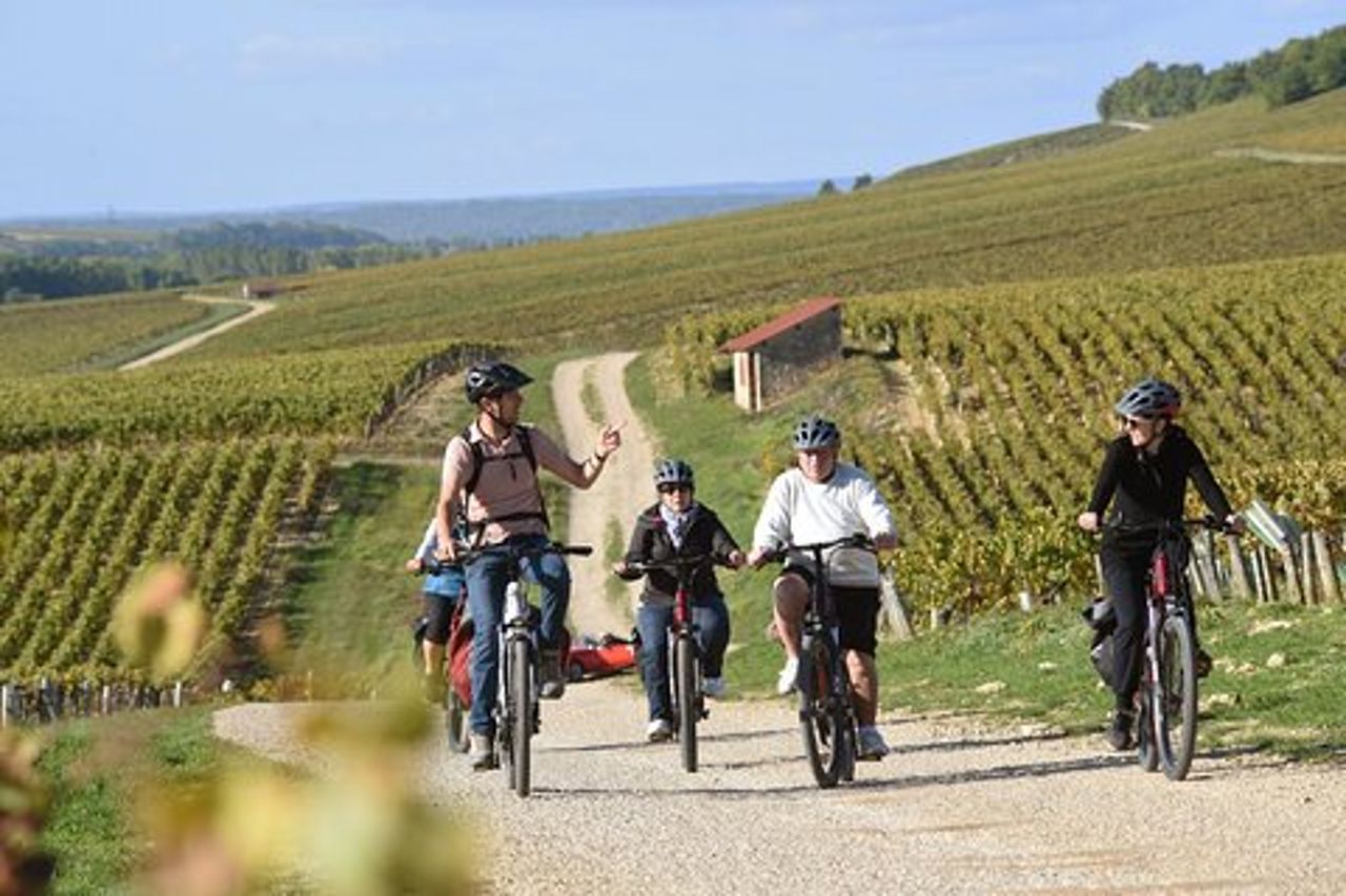 Tour guidato in e-bike dei vigneti di Chablis