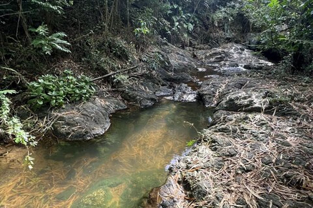 Escursione privata al Mount Healthy National Park a Tortola