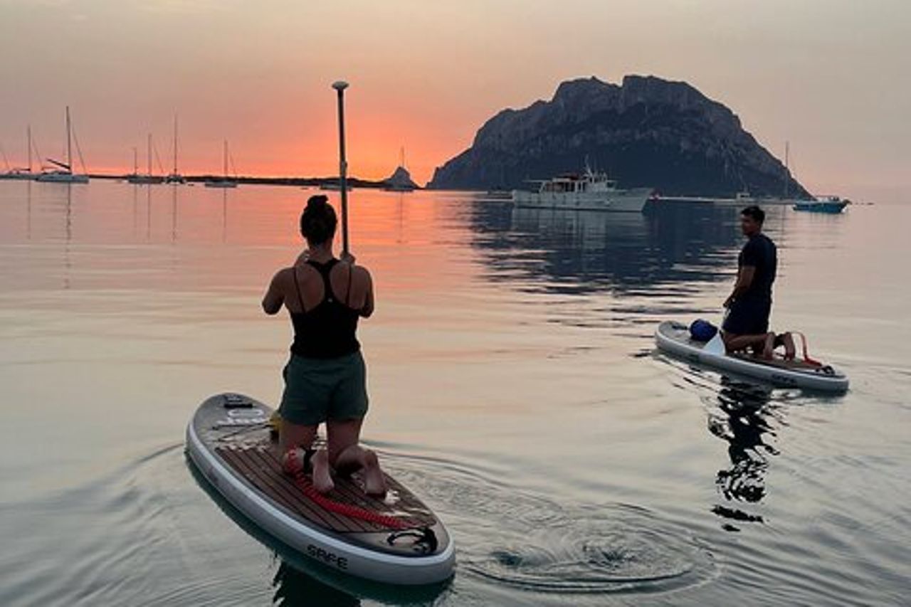 Tour SUP avvistamento Delfini con aperitivo Golfo Aranci