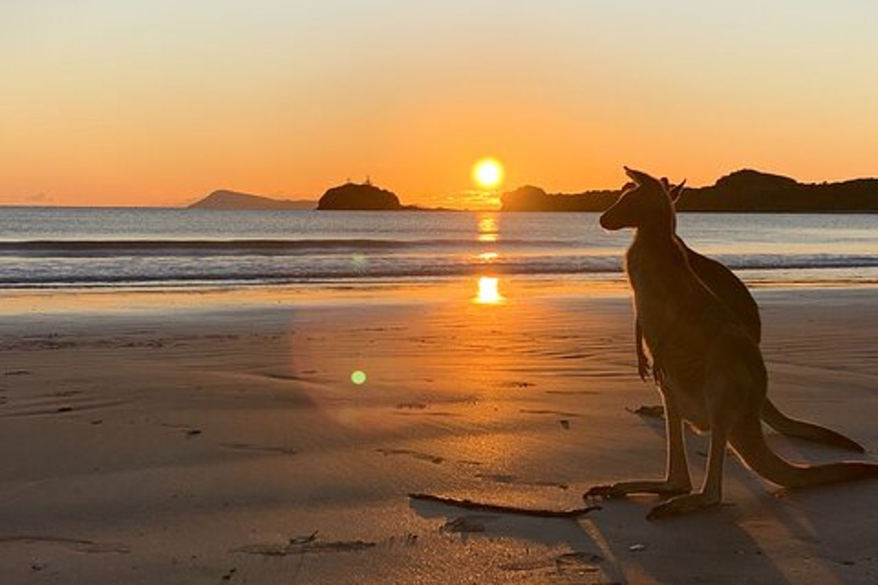 Beach Sunrise con i Wallabies