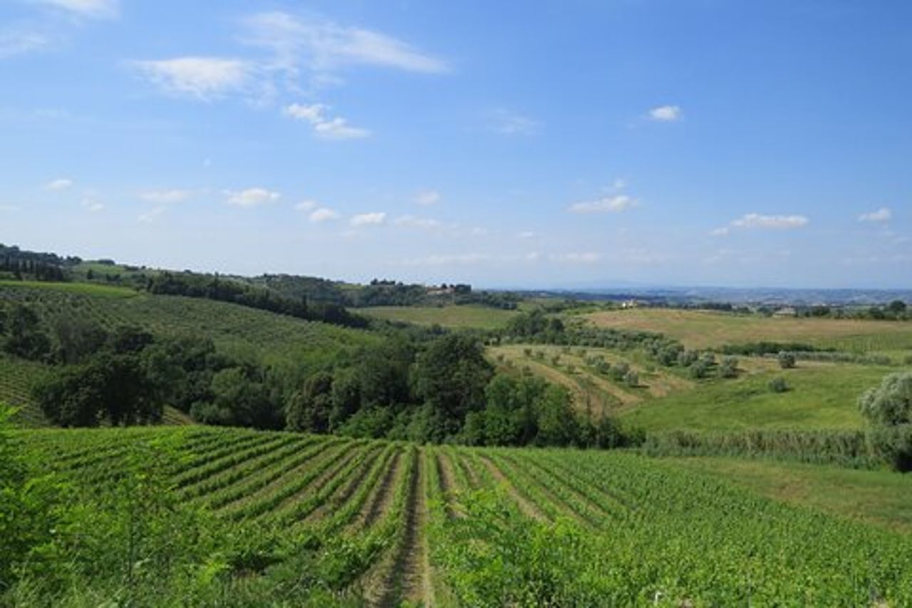 Colline del Chianti: Tour e-Vespa con app guidata + pranzo a Greve
