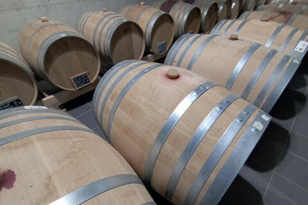 Tour del vino dell'Irpinia di mezza giornata da SALERNO