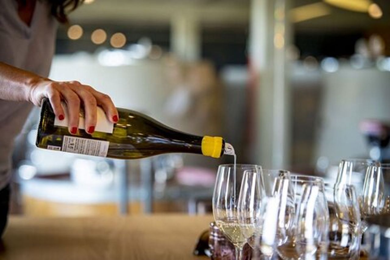 Santiago de Compostela: esperienza di degustazione di formaggi e vini
