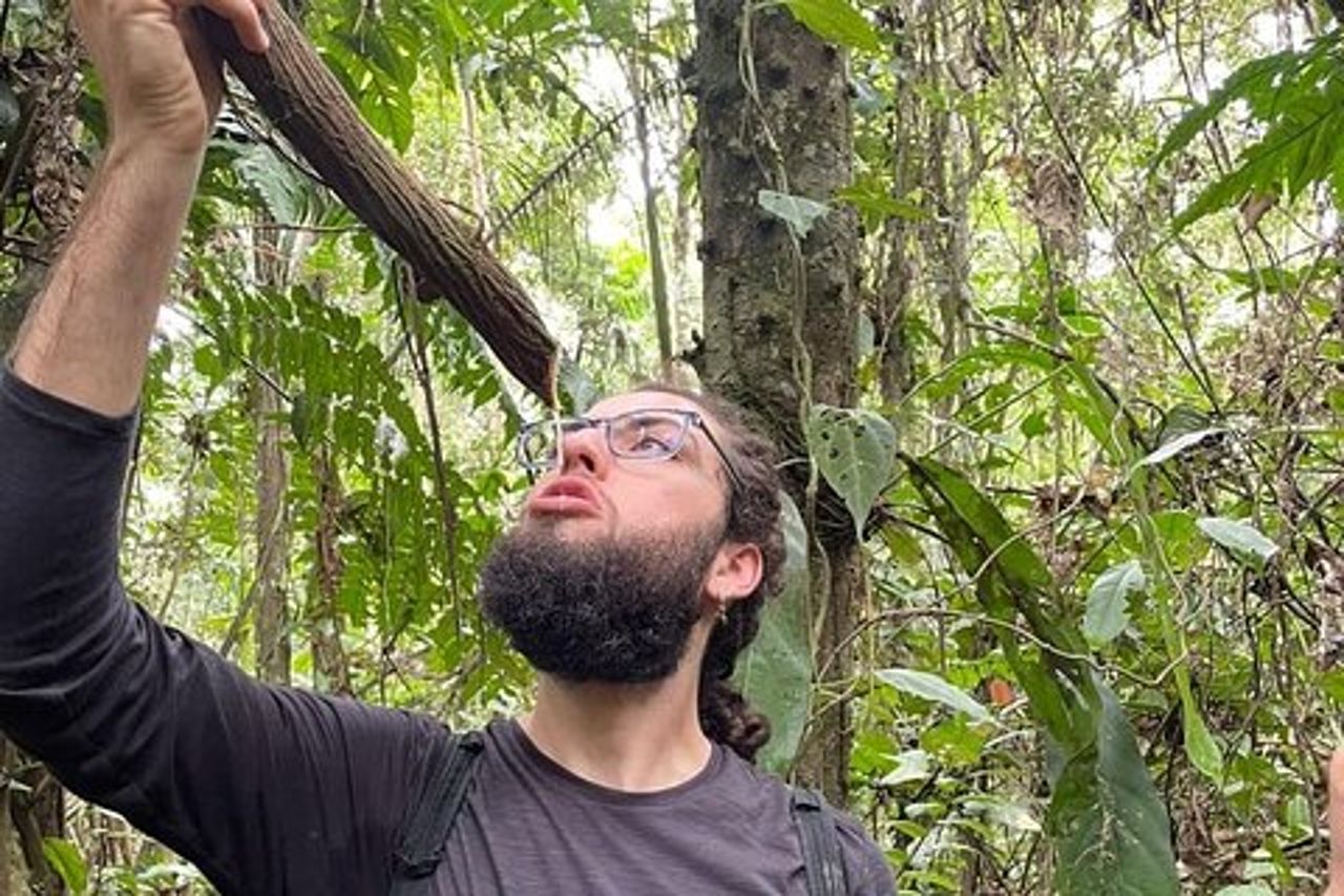 Iquitos: Avventura in Amazzonia: Natura e fauna selvatica | 2 giorni