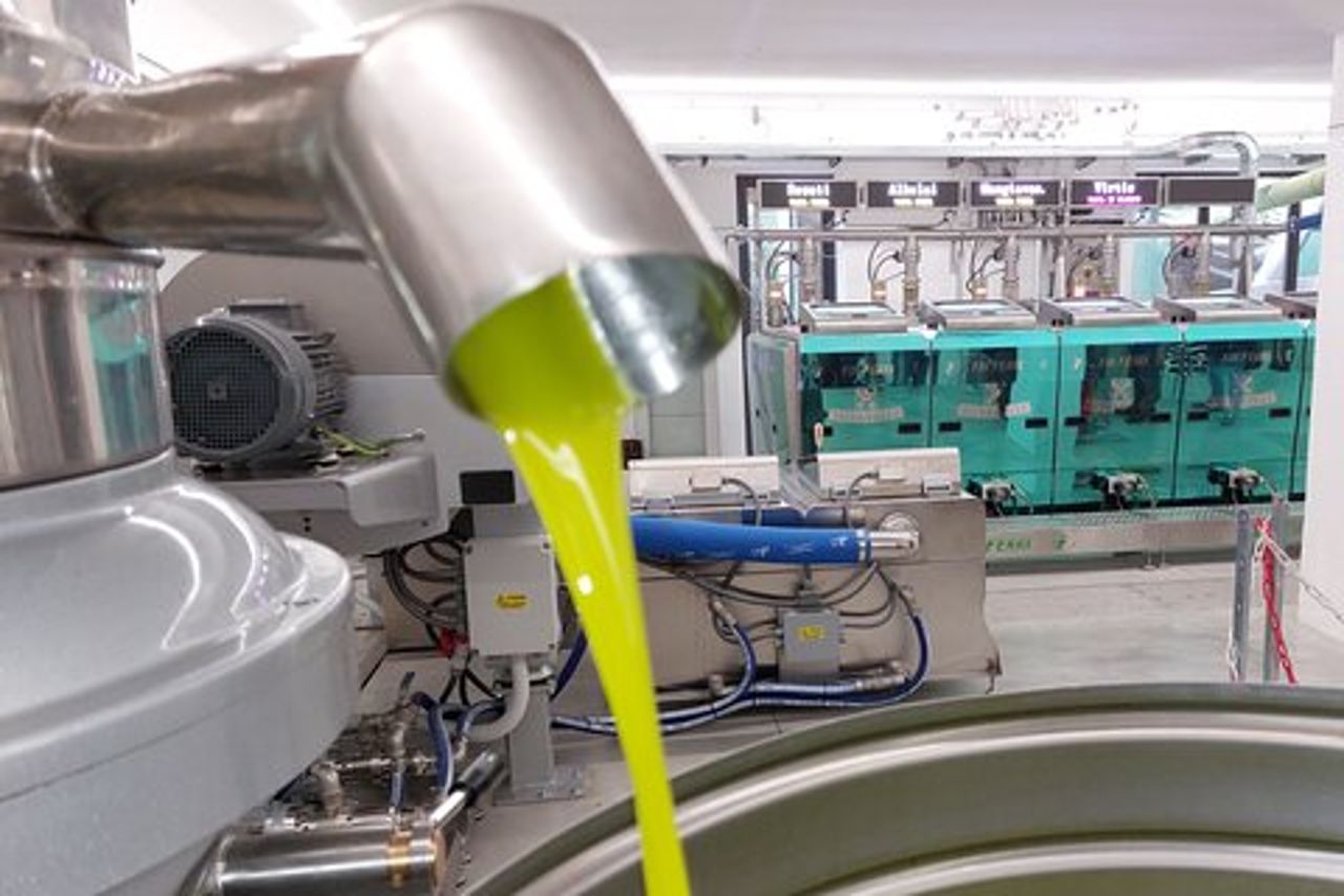 TOUR e BIGLIETTI, VISITA AL FRANTOIO E DEGUSTAZIONE DI OLIO EVO