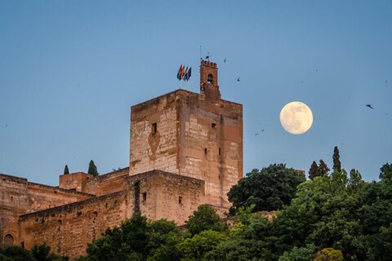 Tour privato degli ingressi dell'Alhambra incluso