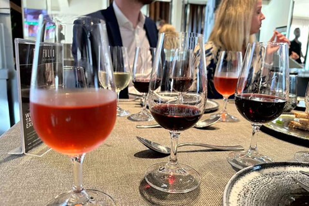 Esperienza di degustazione di vini di 1 ora a Protara