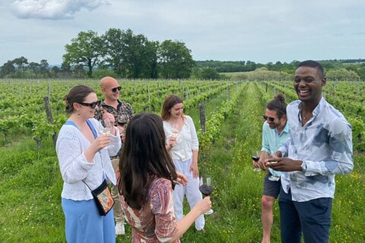 Tour guidato di degustazione di vini di mezza giornata nei vigneti di Bordeaux