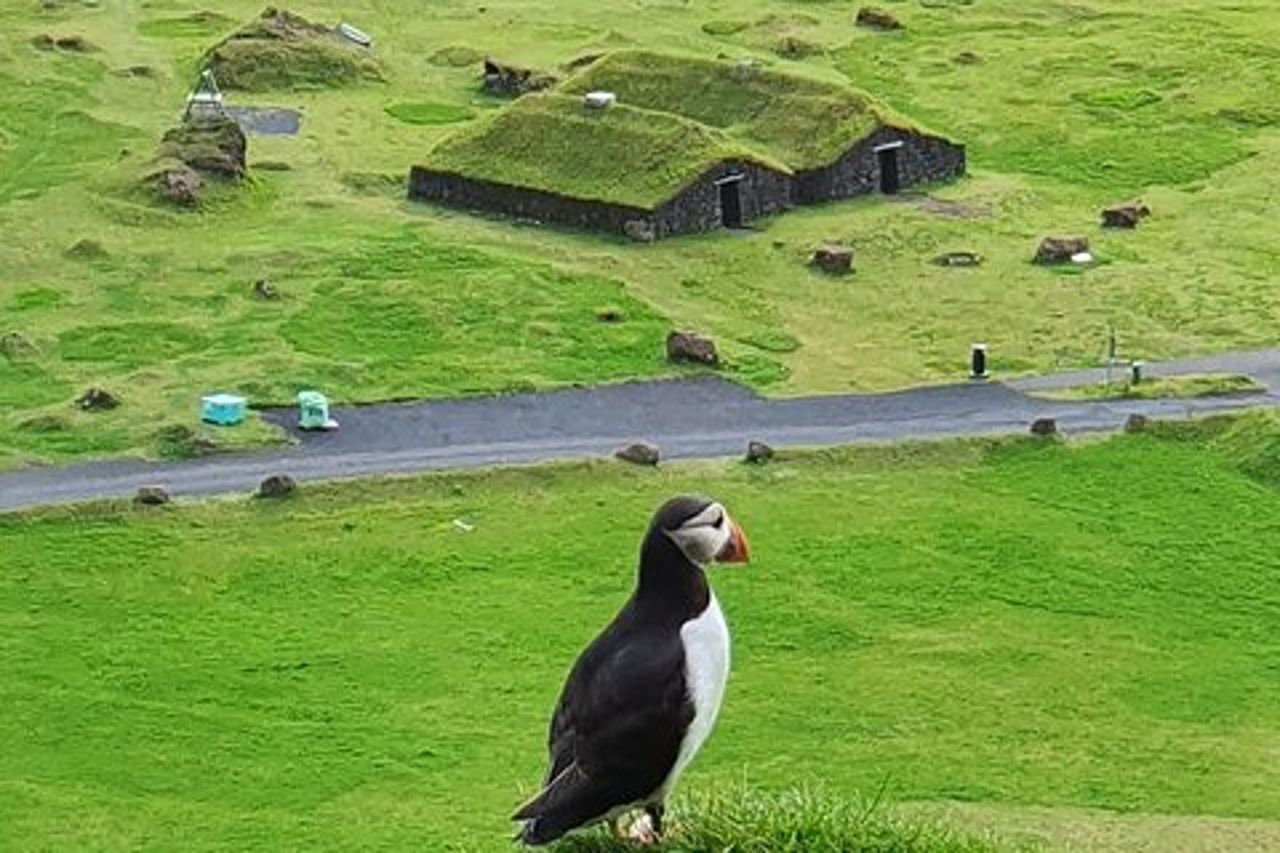 Eyjascooter Puffin Tour in Islanda