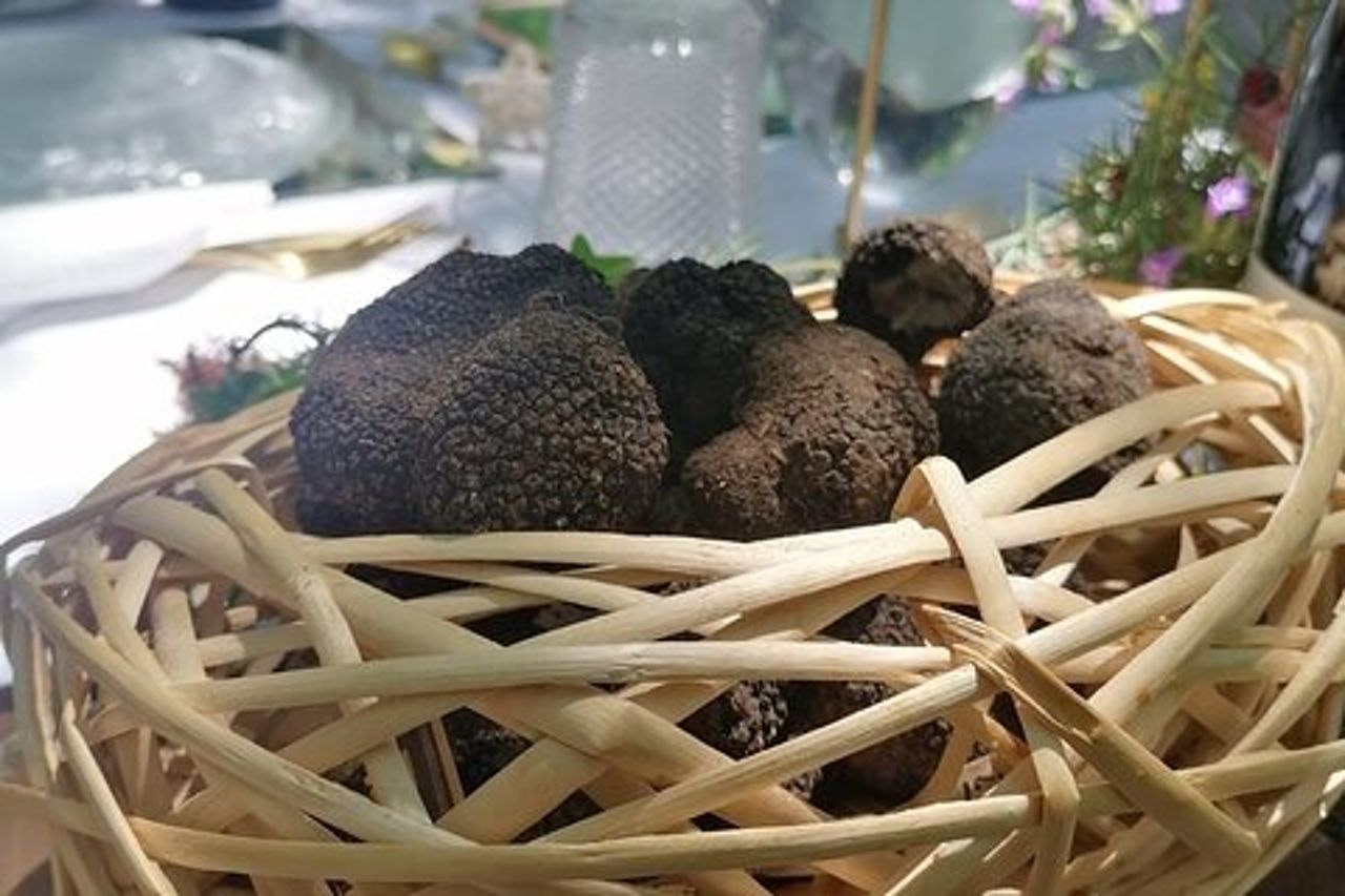 Gita di un giorno: caccia al tartufo con pranzo + visita guidata di Montefalco