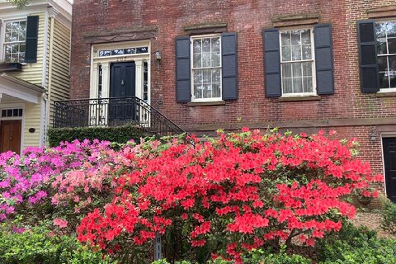Tour a piedi delle attrazioni imperdibili di Savannah