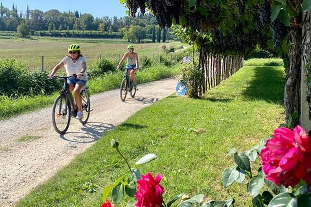 E-Bike Tour e degustazione vini nella campagna di Lazise