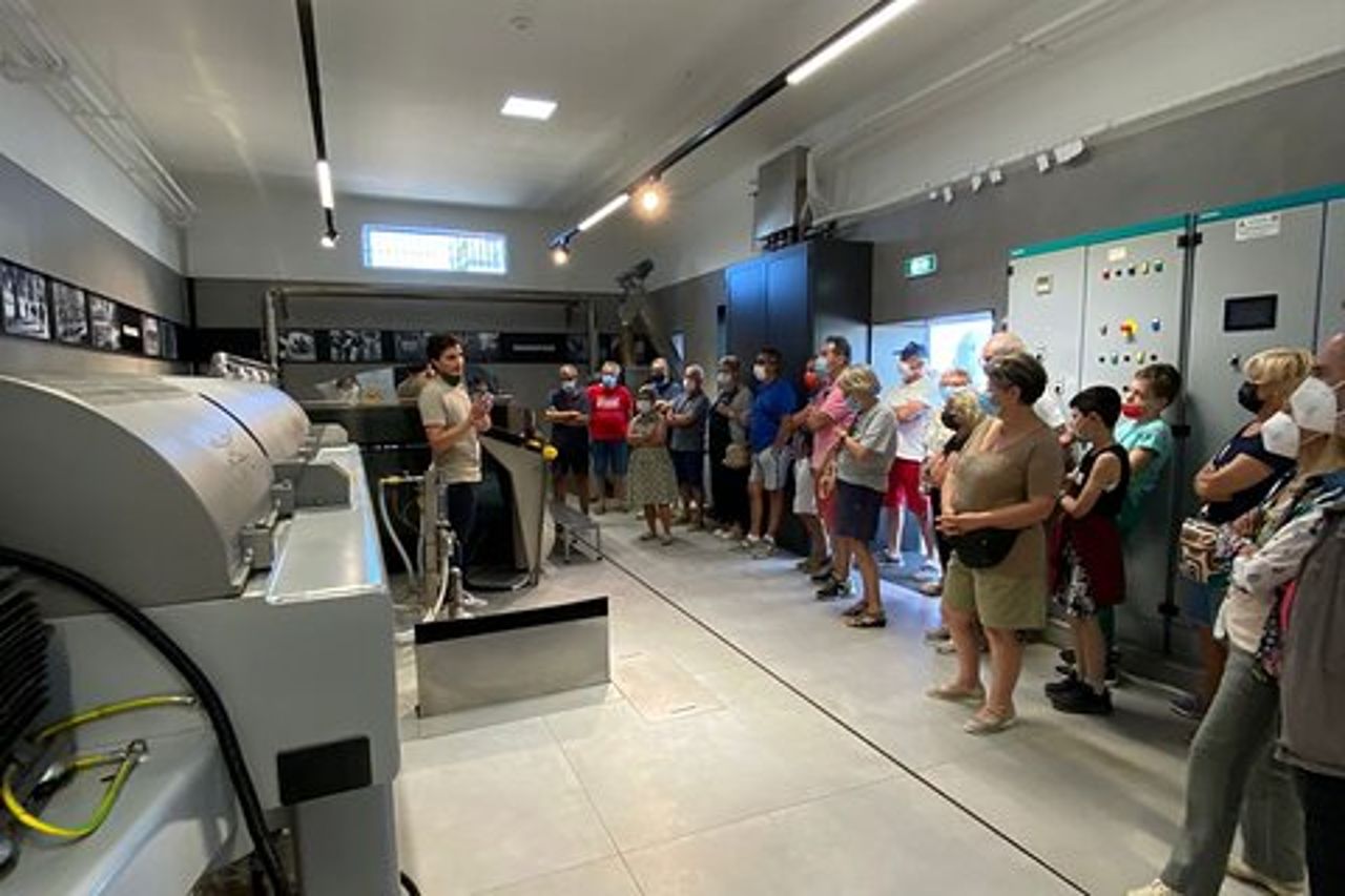 Tour Privato Frantoio e Degustazione Olio Extravergine a Altamura