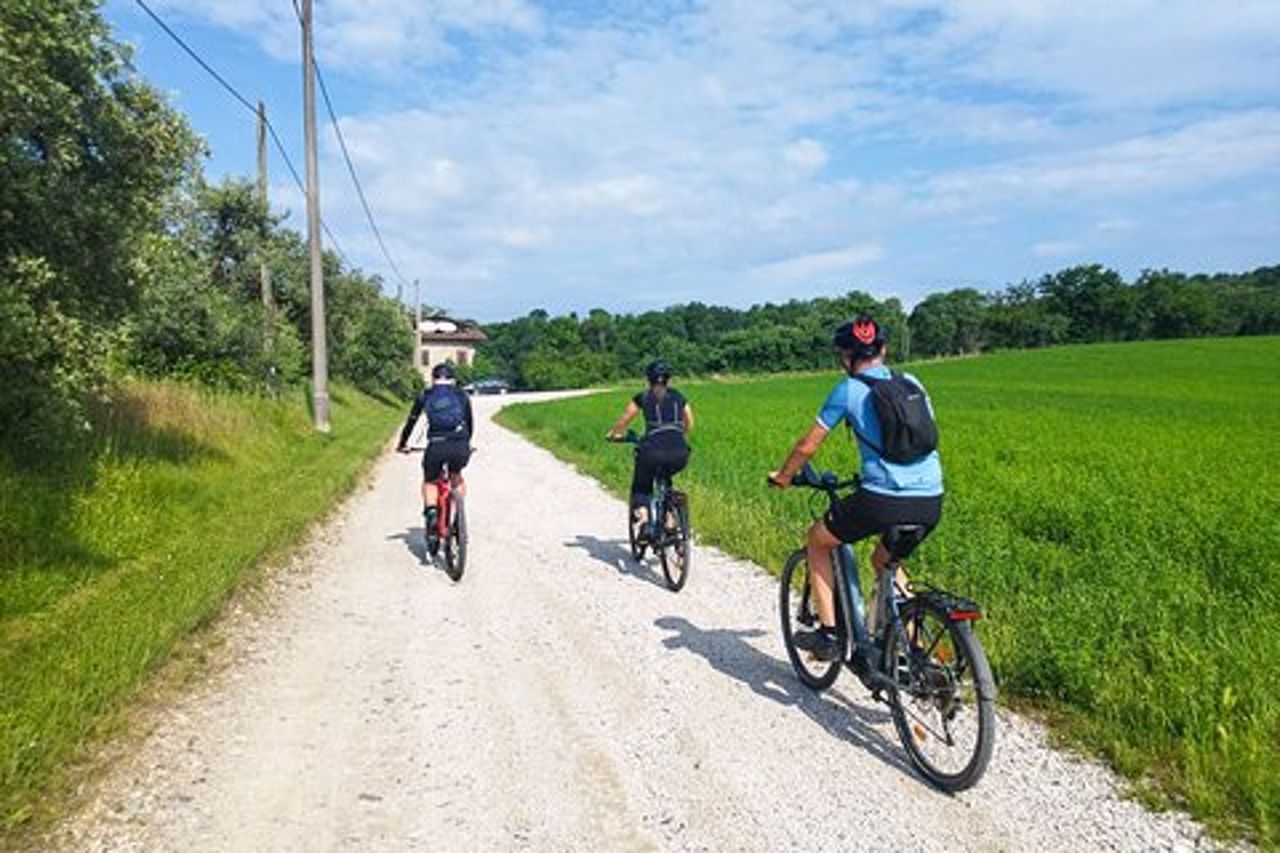 Tour in E-Bike e degustazione di vini dell'entroterra di Desenzano