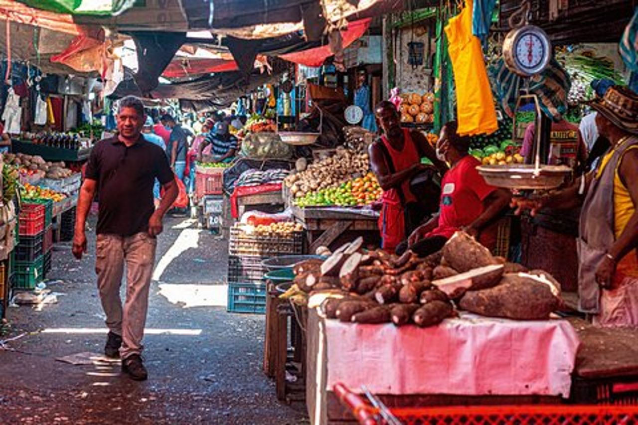 Corso di cucina e degustazione di 5 ore con tour di piccoli gruppi del mercato