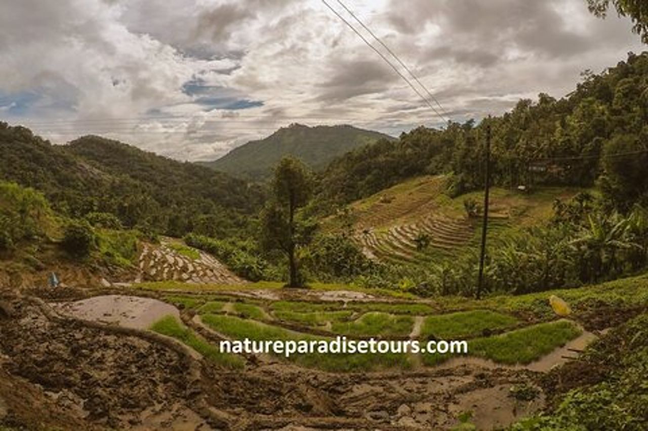 Knuckles Spice Trail Trek da Kandy