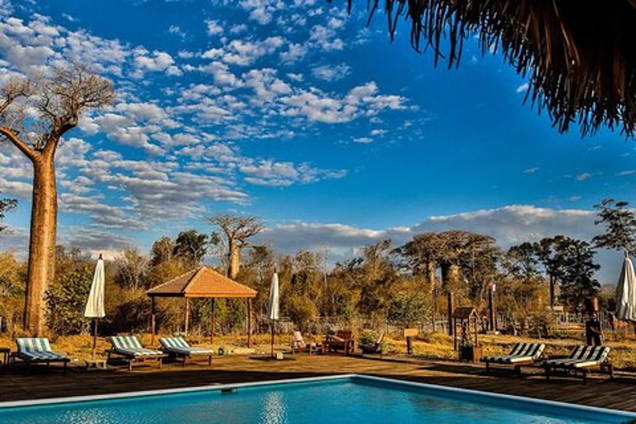 Tour privato di 7 giorni Safari al baobab