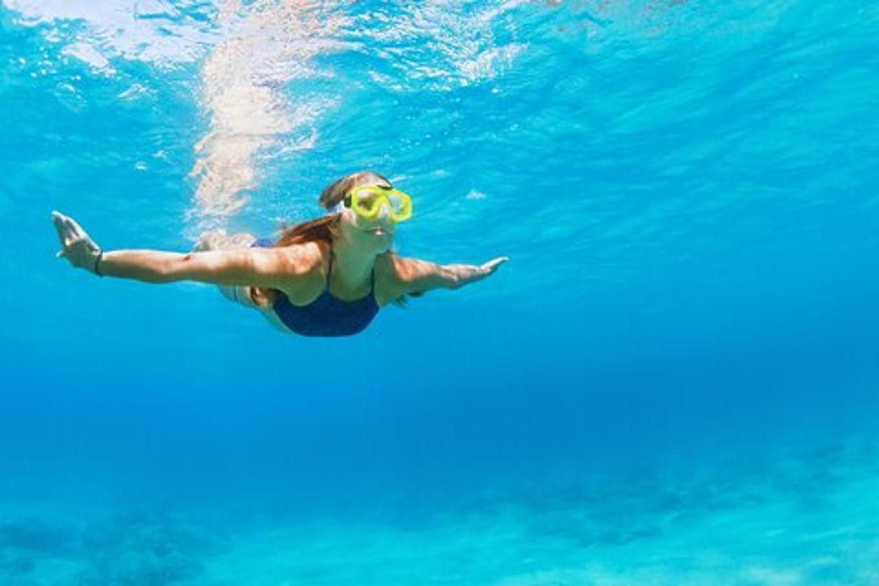 Esperienza di snorkeling e osservazione dei delfini a Destin