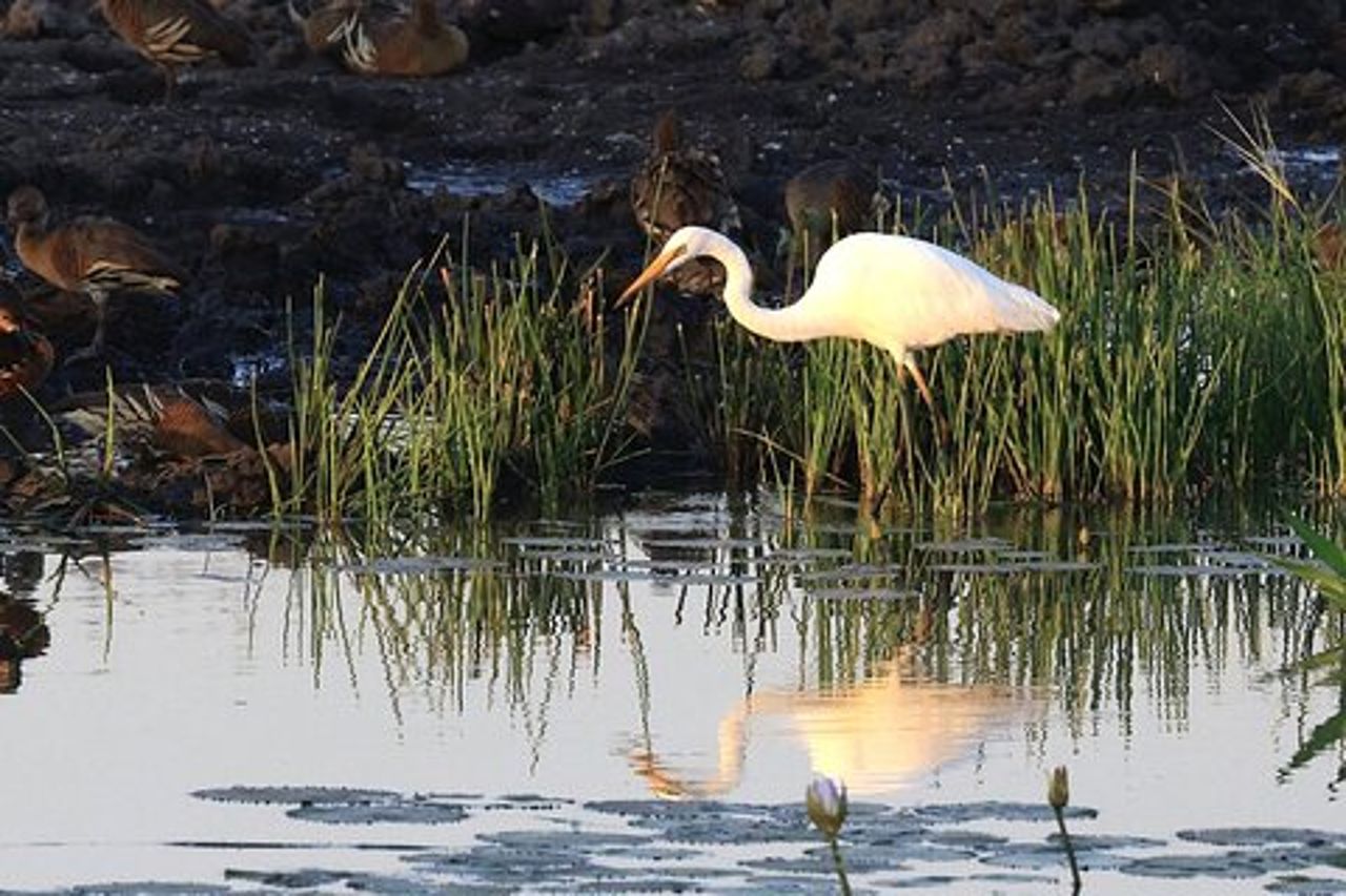 Tour Premium Darwin, Wetlands & Wildlife - Max 6 Ospiti