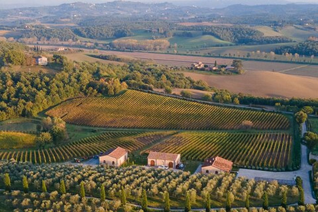 1h30m Degustazione Vini e Visita in Val D'Orcia