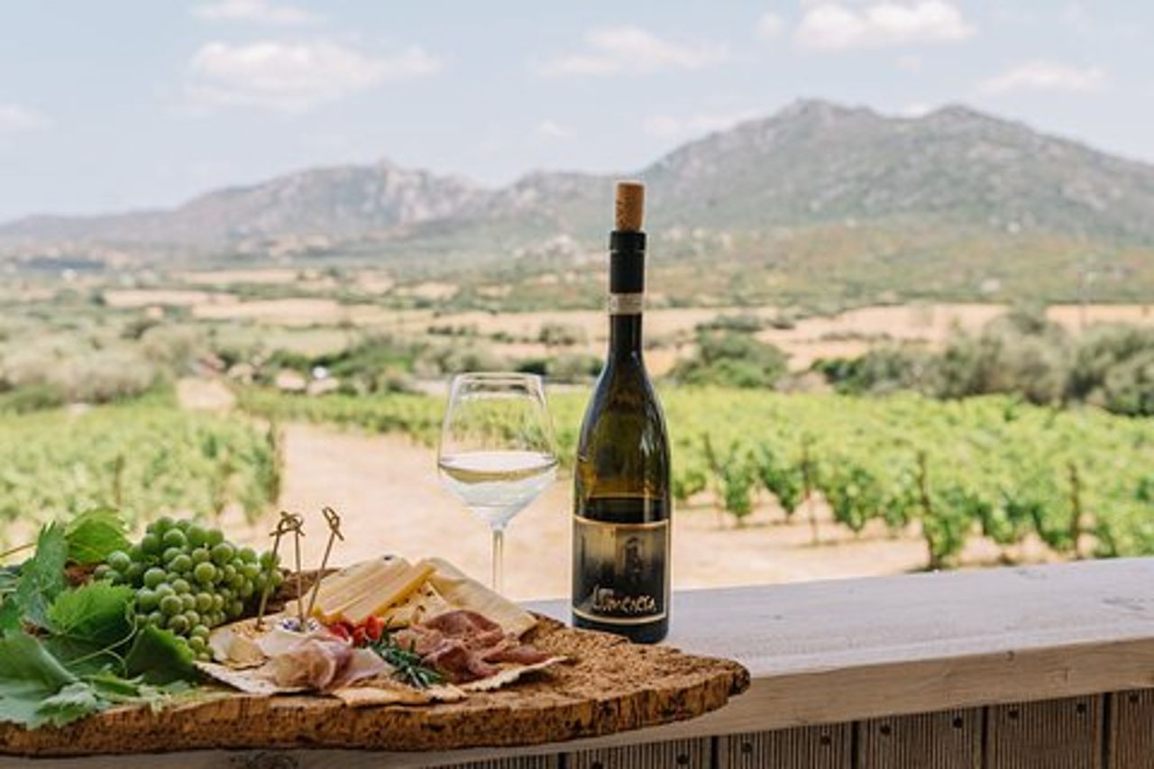 Cantina Gallura con Degustazione Vini a Olbia