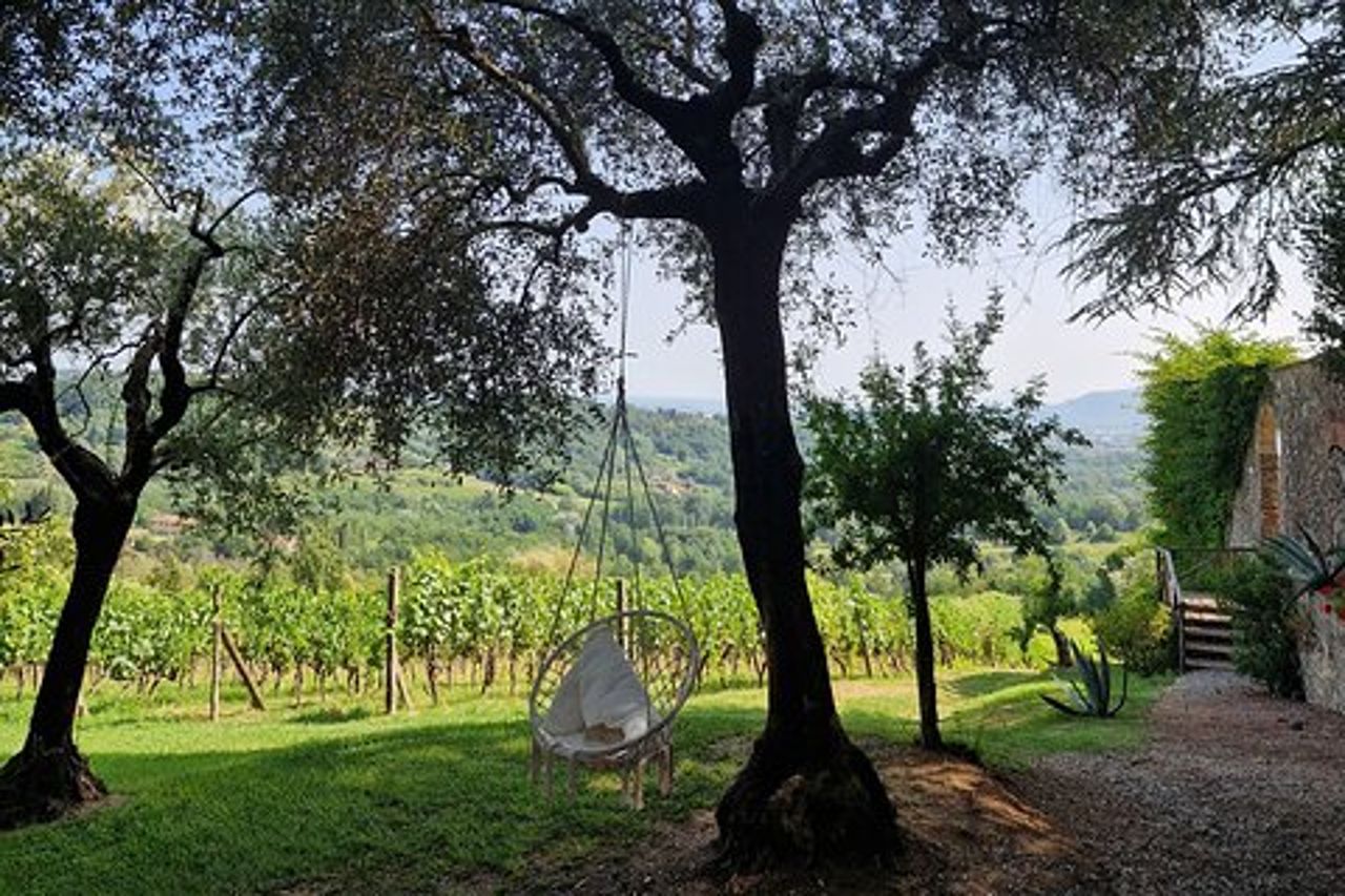 Wine Tour nella Campagna Lucchese con Pranzo - con Minivan