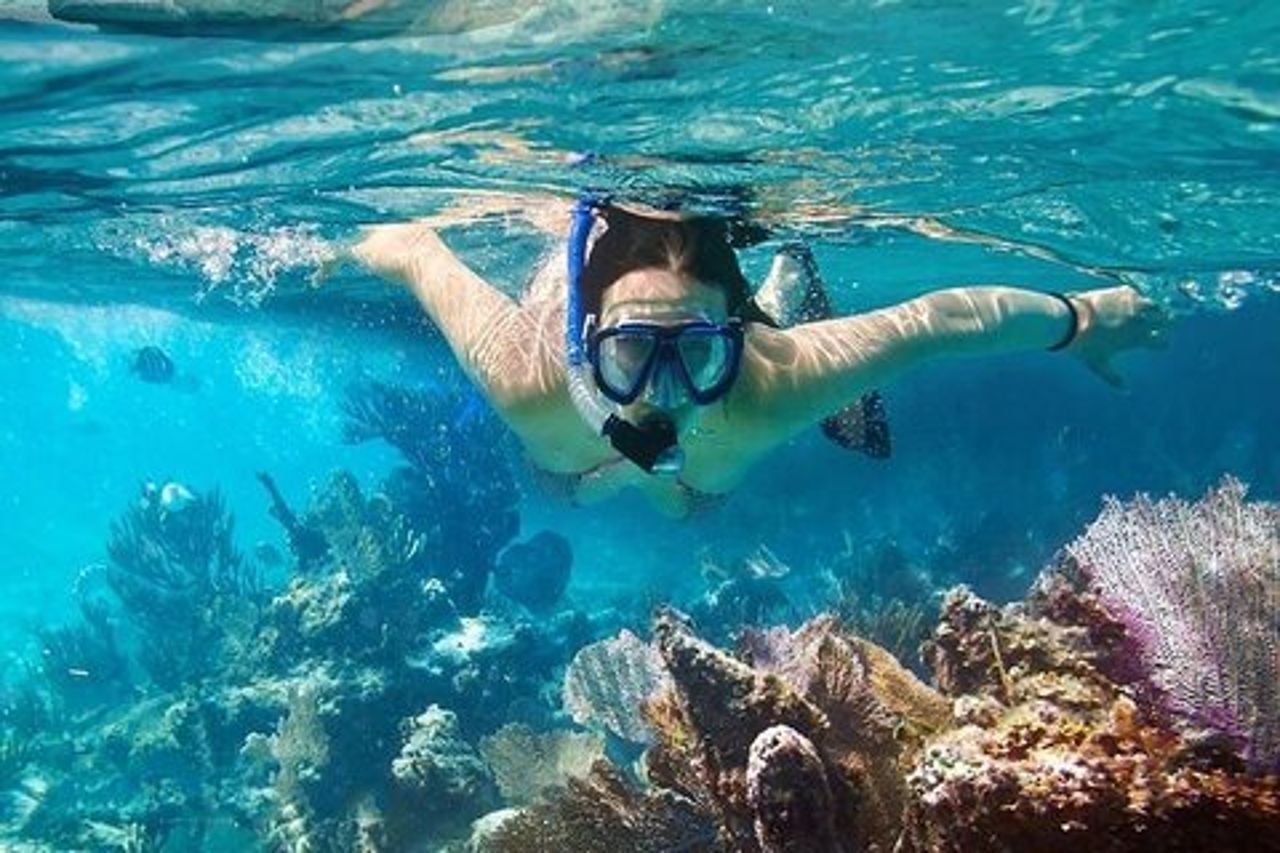 Cham Island Tour Snorkeling - Prendere il sole - Bella spiaggia - Motoscafo