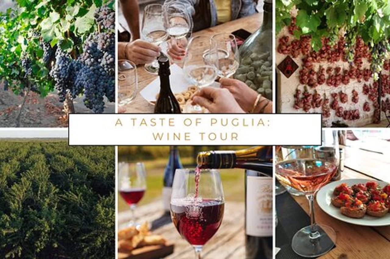 Trani : Degustazione di vini e pranzo leggero in vigna