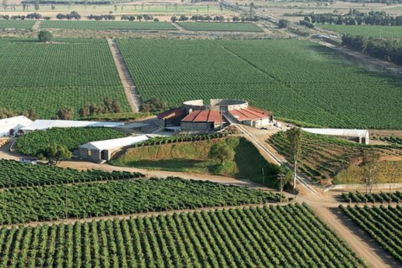 Esperienza del tour della vecchia strada del vino in Baja California. TUTTO INCLUSO!