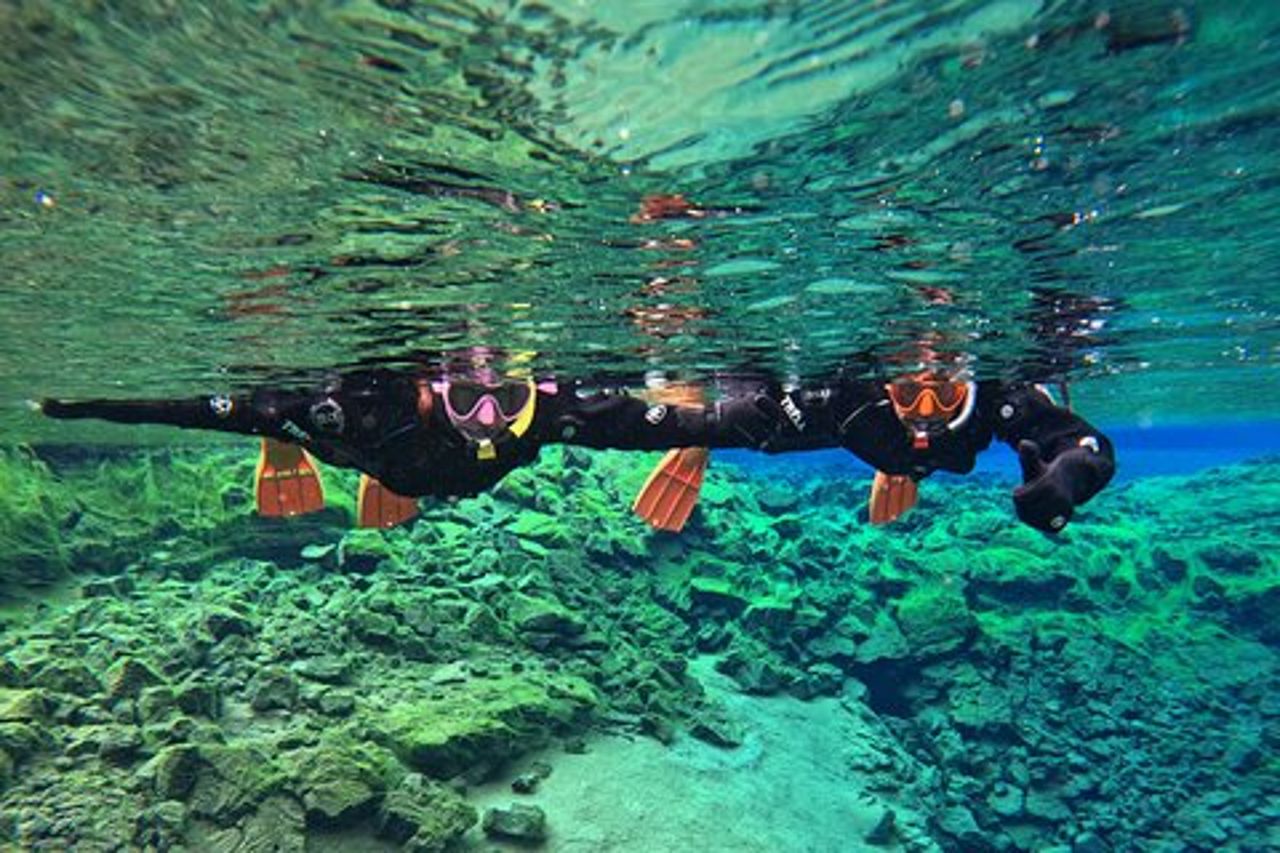 Da Reykjavik-Silfra Trasferimento snorkeling incluso