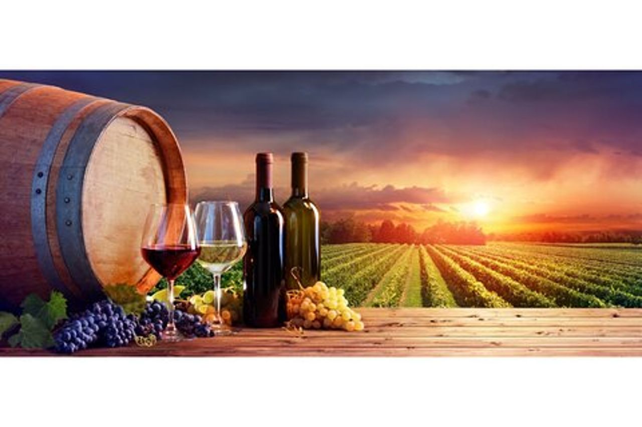 Tour del vino nel Chianti da Firenze a San Gimignano con 2 cantine