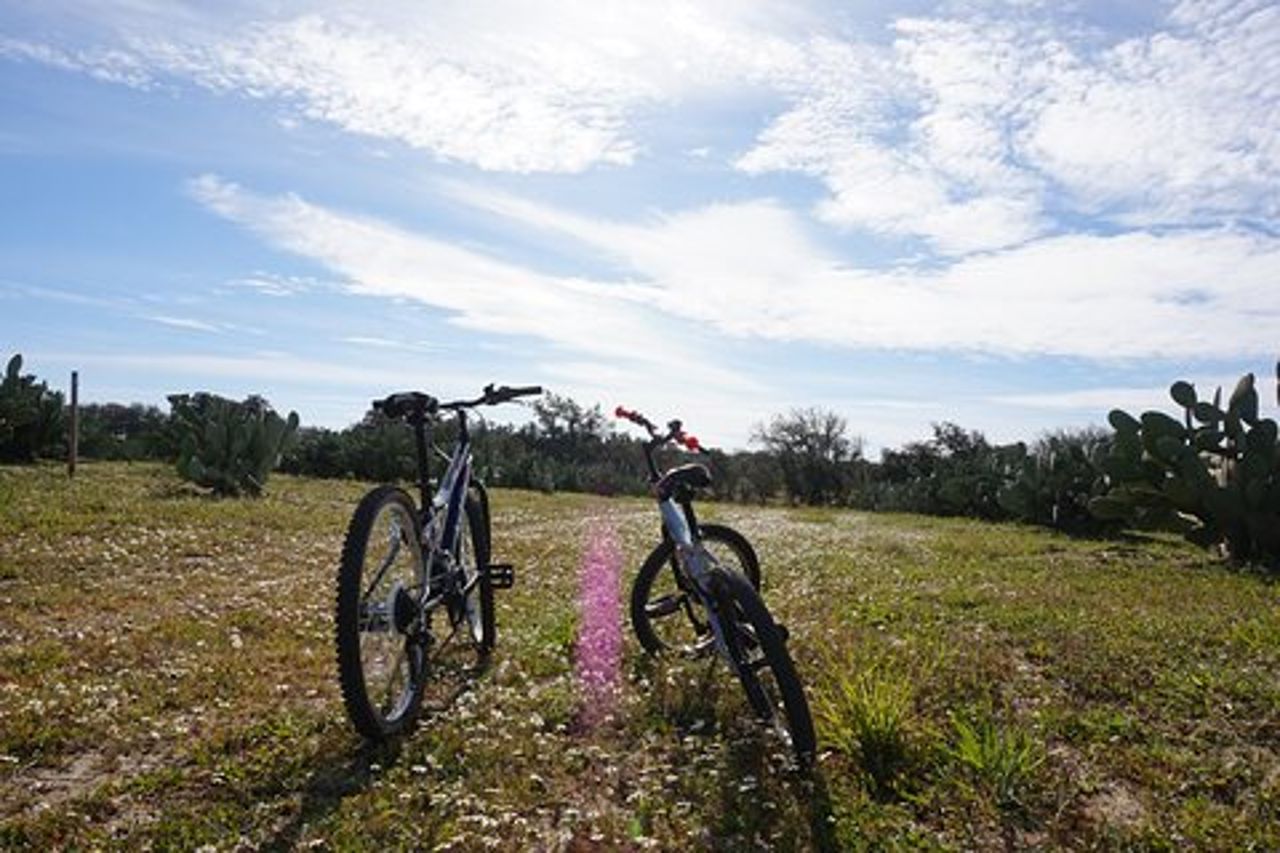 Tour del sughero e del fico d'India - tour privato delle tenute Pepe Aromas