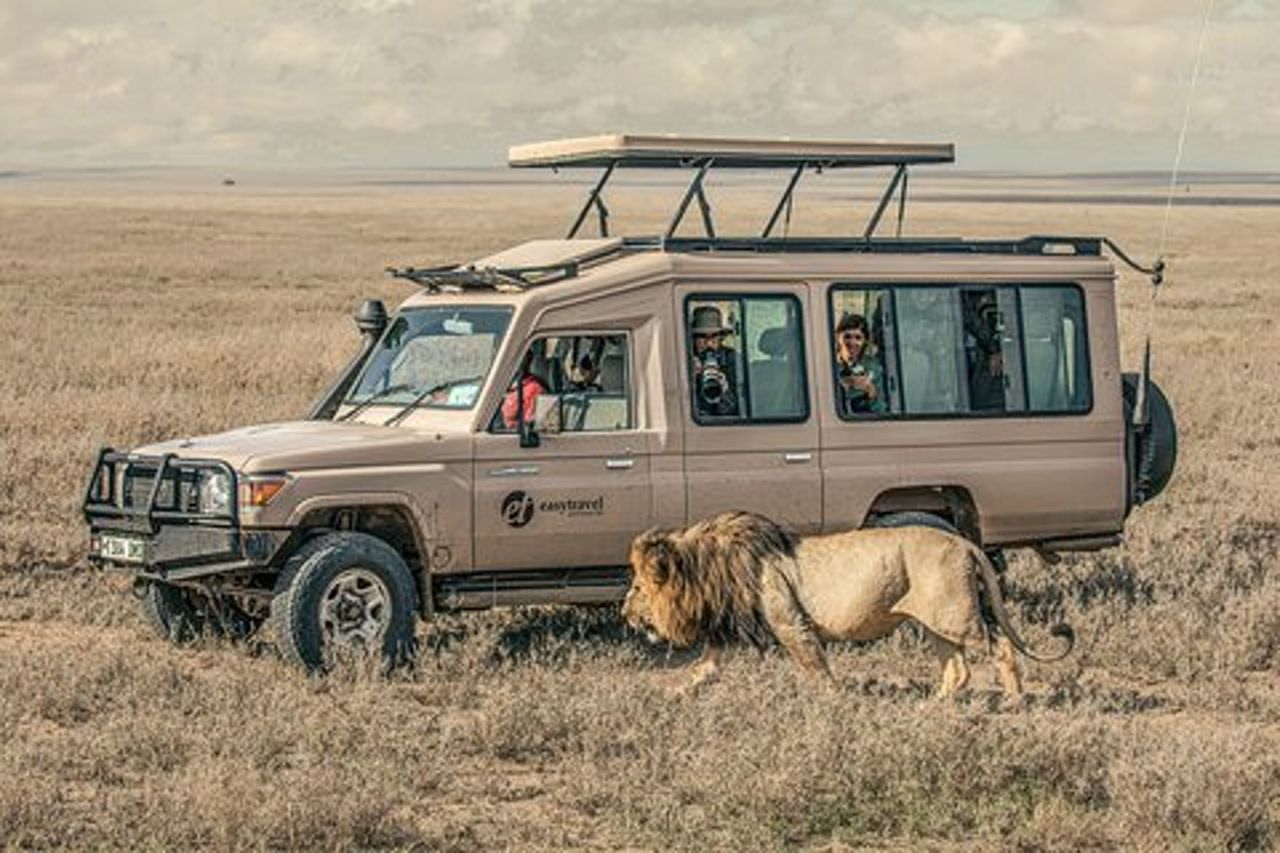 Incontri naturalistici in Tanzania - 6 giorni