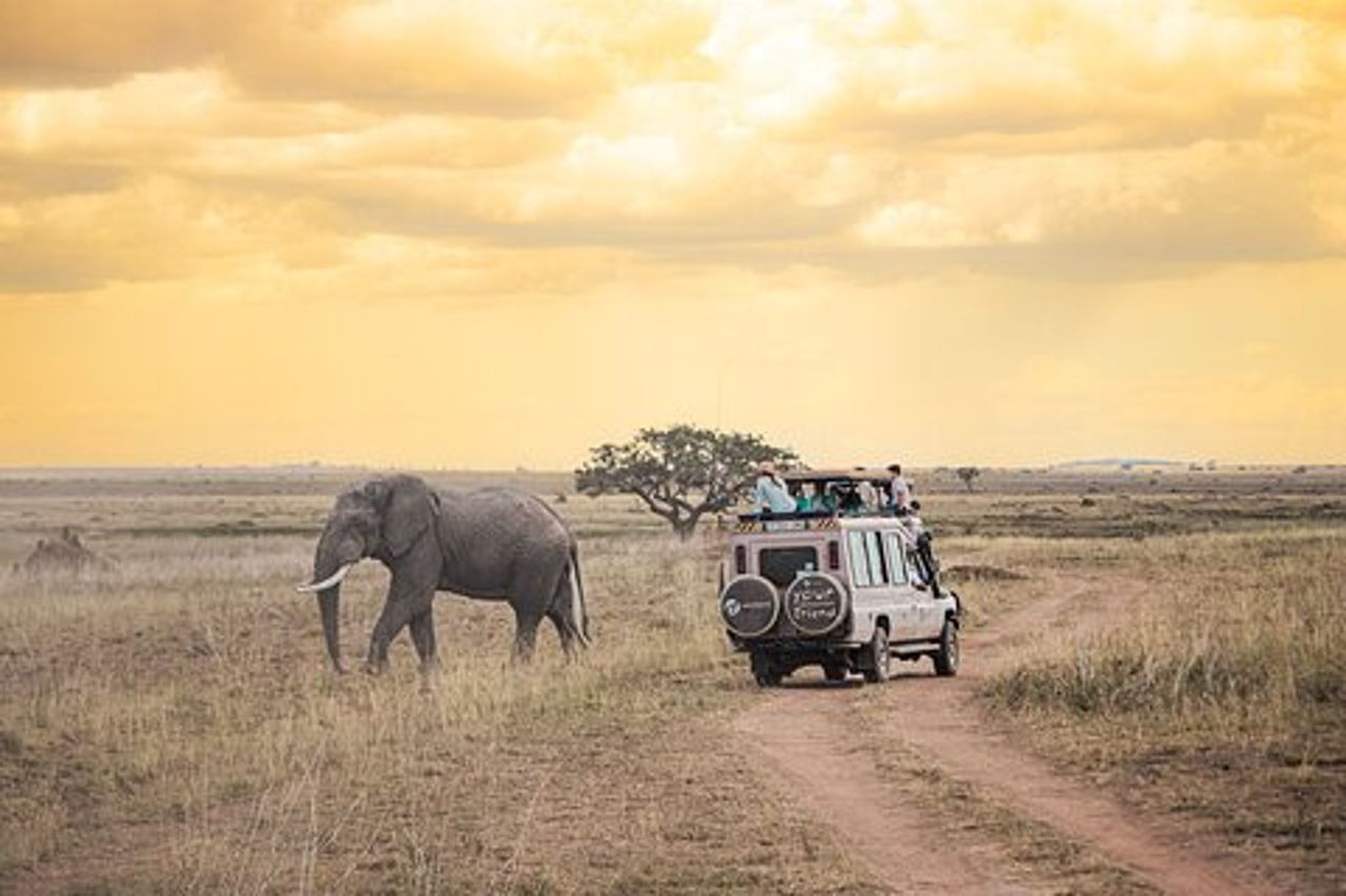 Tanzania Classic: 7 giorni