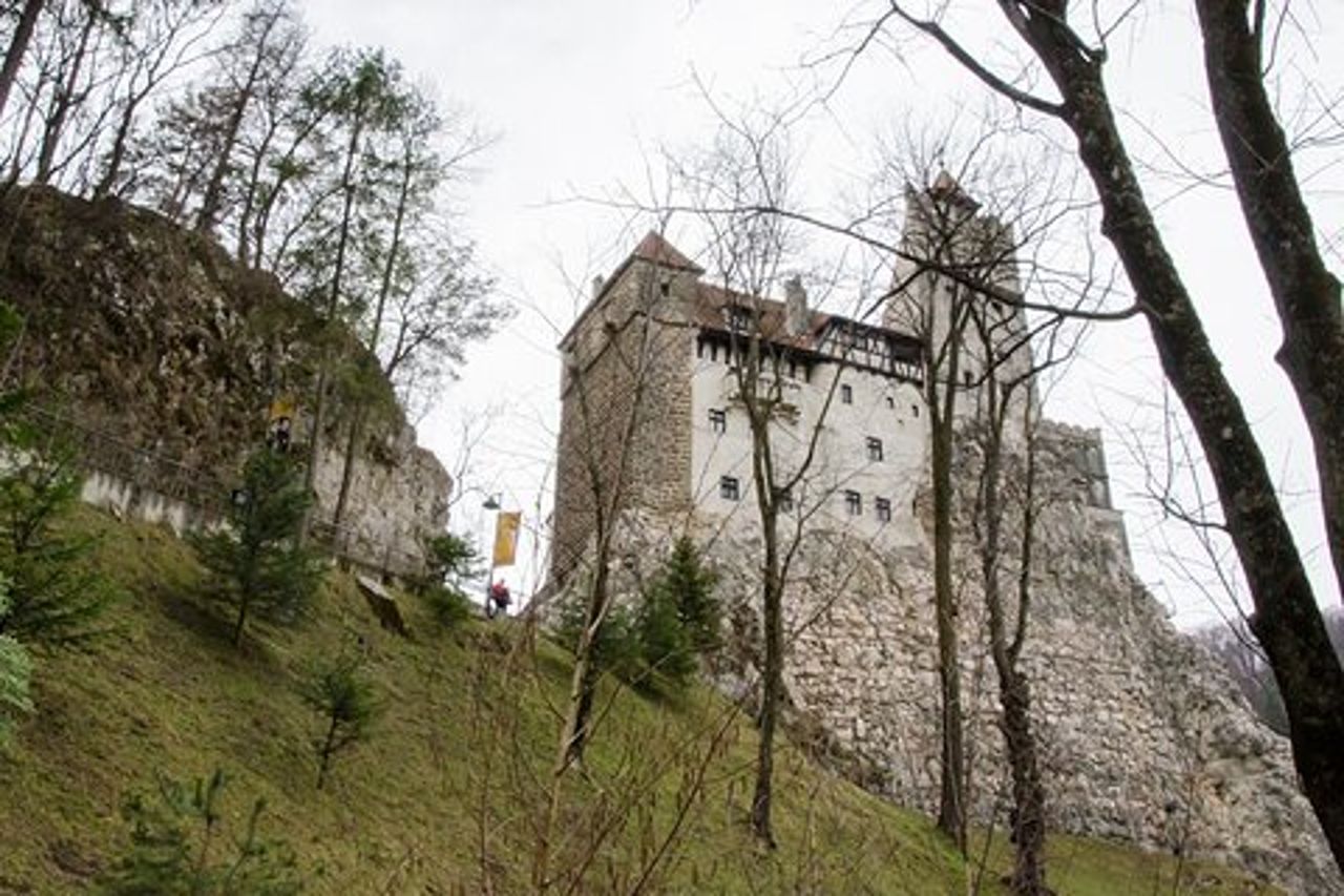 Gita di un giorno al Santuario degli orsi, al castello di Bran, alla fortezza di Rasnov da Brasov