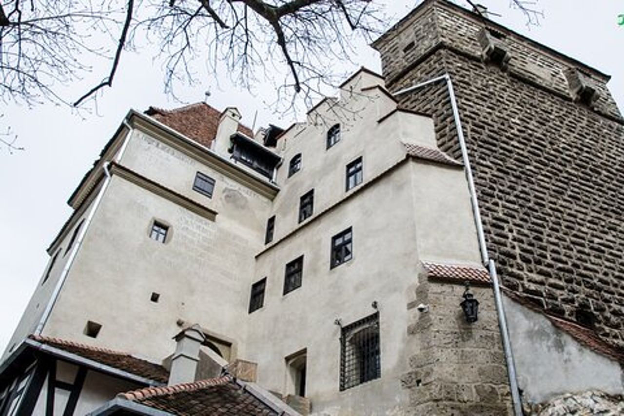 Tour di mezza giornata del castello di Bran, del santuario degli orsi e della fortezza di Rasnov