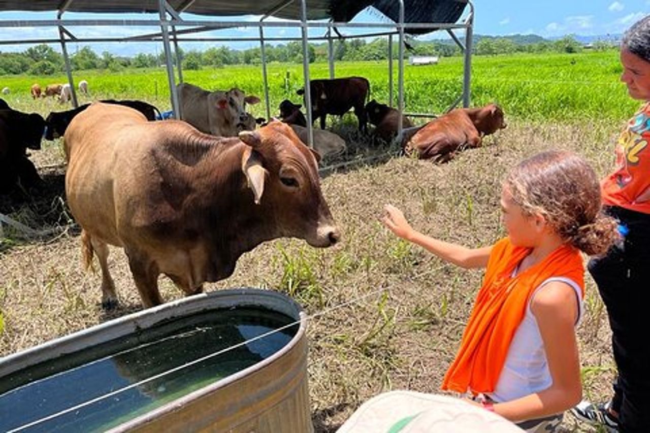 Tour agricolo ecologico per esplorare la fattoria più bella di Dorado
