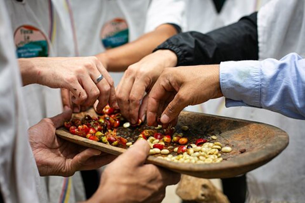 Coffee Tour con arrivo a cavallo e lavorazione della canna da zucchero