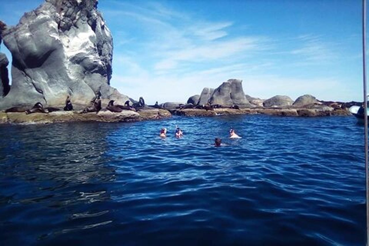 Il miglior tour dell'isola di Coronado