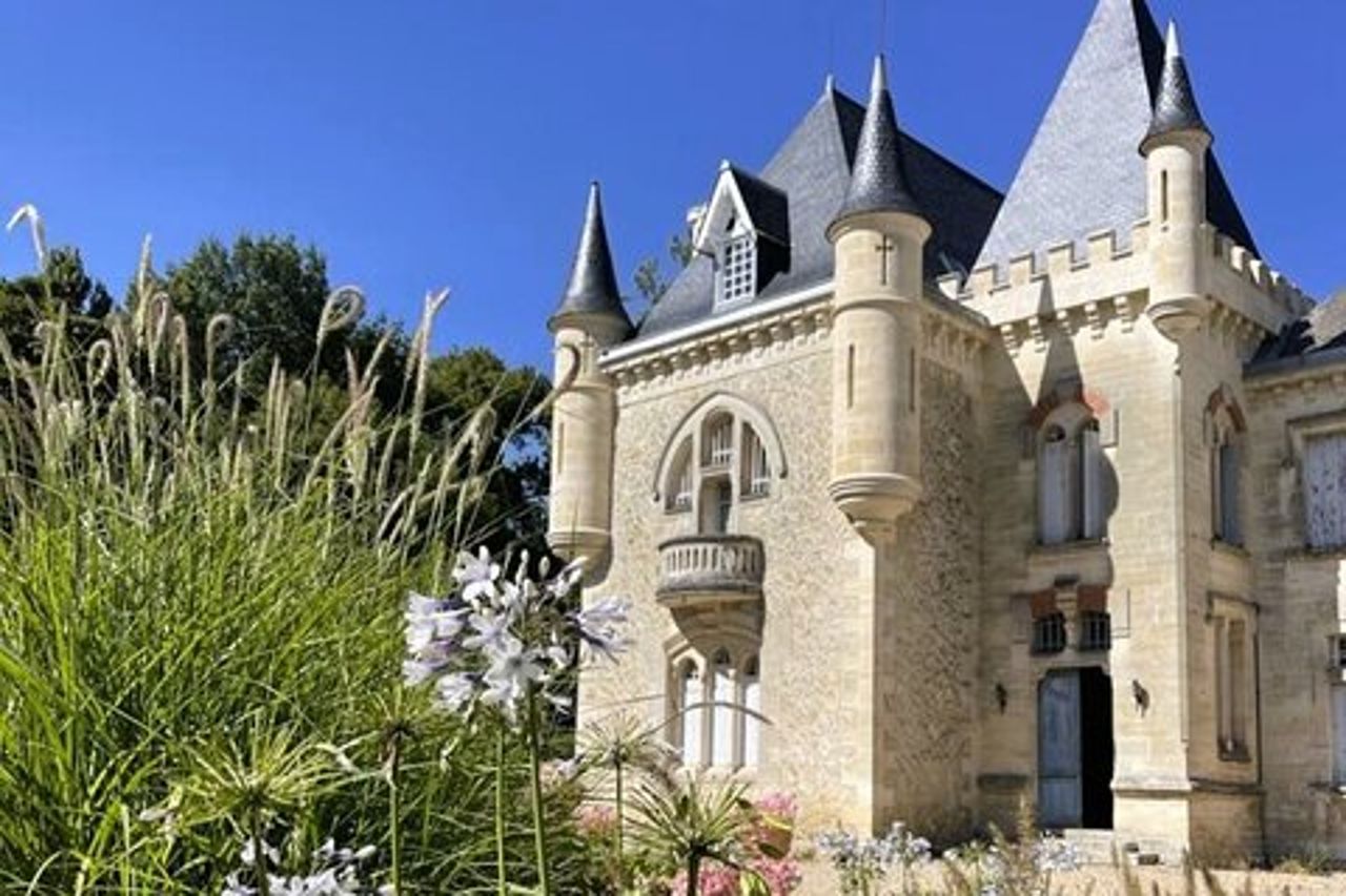 Medoc o Saint Emilion degustazione di vini e castello da Bordeaux